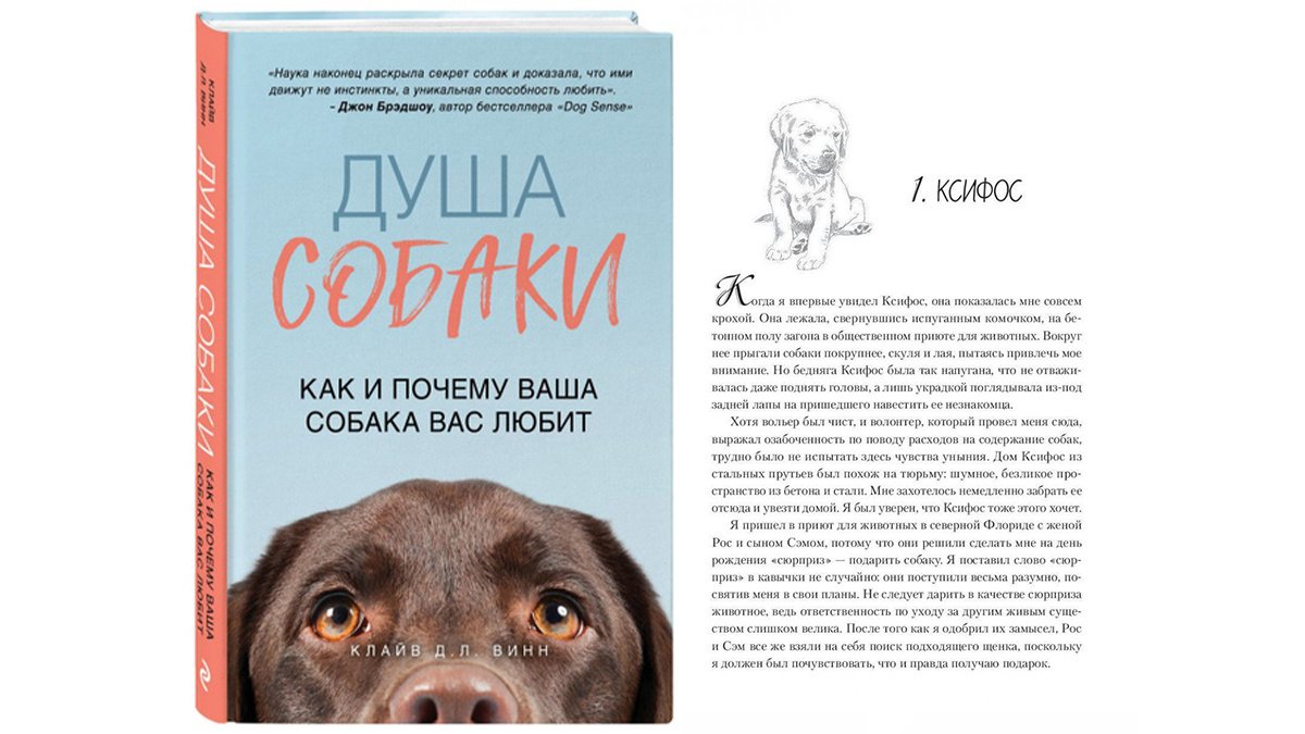 Три минуты ради собаки книга. Душа собаки книга. Душа собаки как и почему ваша собака вас любит. Как понять собаку книга. Книги про собак научные.
