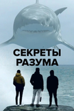 Постер undefined: 1 сезон