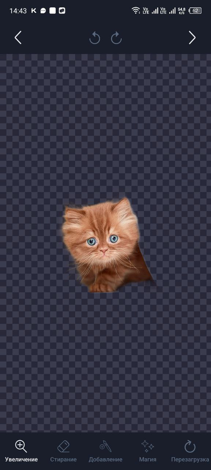 Интерфейс программы Background Remover Интерфейс программы Background Remover