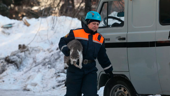 Кота спасли из-под завалов обрушившегося дома в Новосибирске