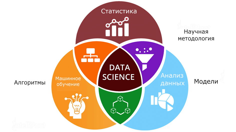 Схема элементов профессии Data Scientist