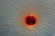 Микроскопическое изображение колонии Pendulispora Rubella