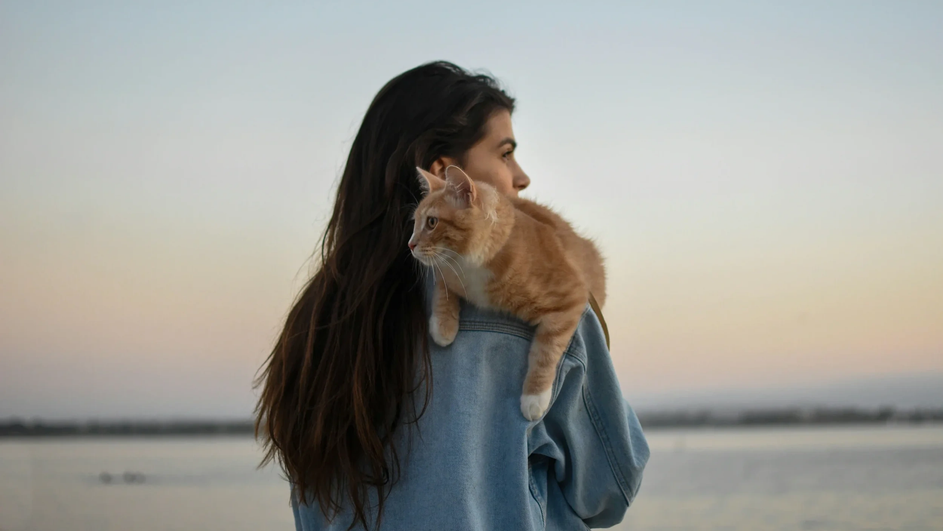 Девушка с котом Девушка с котом