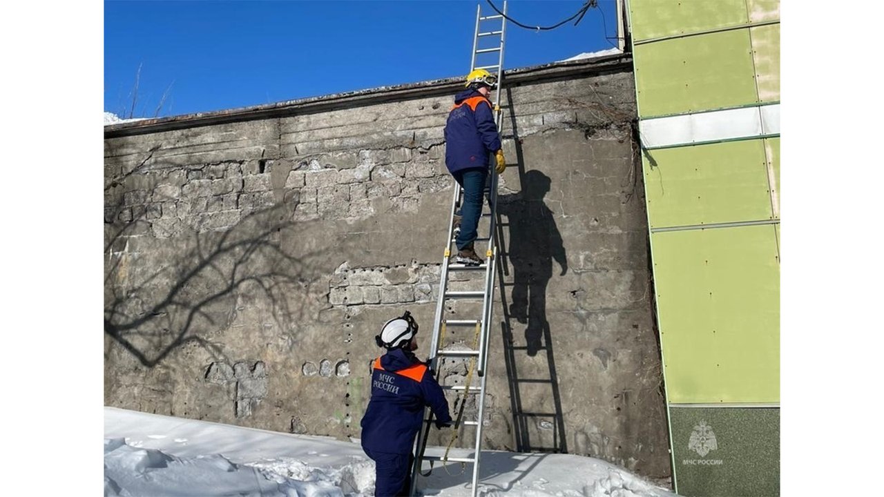 На Камчатке кот мяуканьем поблагодарил людей за спасение На Камчатке кот мяуканьем поблагодарил людей за спасение
