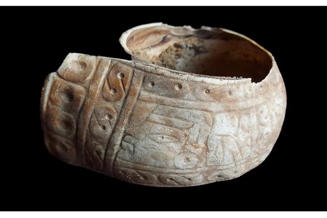 раковина гигантской улитки раковина гигантской улитки