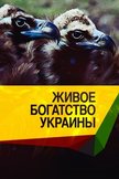 Постер Живое богатство Украины: 1 сезон