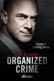Постер Закон и порядок: Организованная преступность: 1 сезон