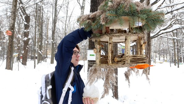 Рестораны для птиц открылись в Подмосковье