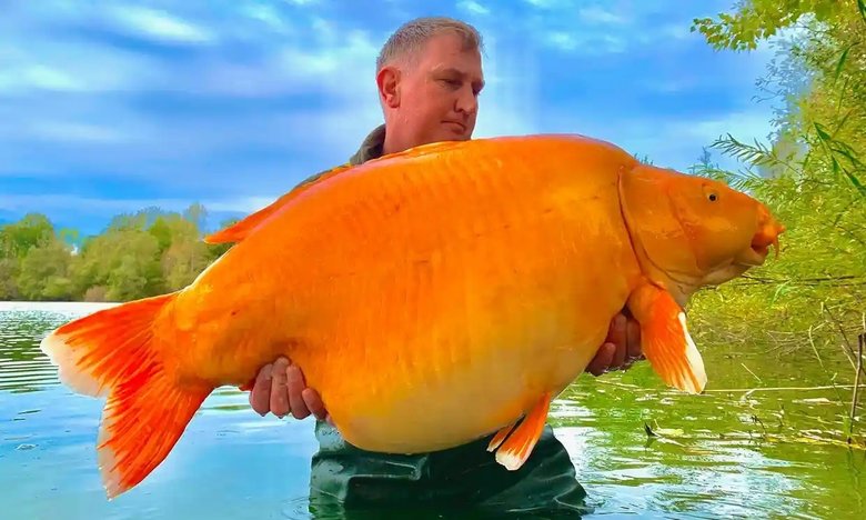 Эта рыба весит 30 кг. Фото: JasonCowler/BNPS