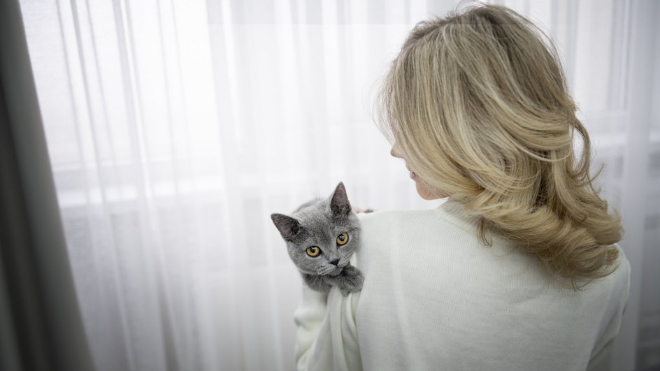 Хозяйка держит на руках кота, который хотел залезть на окно без сетки «антикошка» Хозяйка держит на руках кота, который хотел залезть на окно без сетки «антикошка»