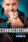 Постер Склифосовский: 8 сезон
