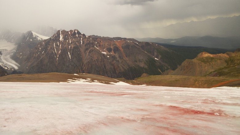 Ледник на Алтае окрасился в красный цвет.