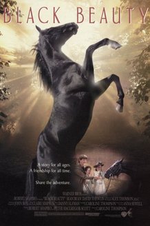 Черный красавец: постер