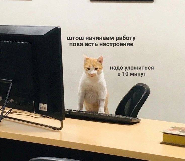 На изображении рыжий кот сидит за столом перед монитором компьютера. Рядом с котом находится клавиатура На изображении рыжий кот сидит за столом перед монитором компьютера. Рядом с котом находится клавиатура