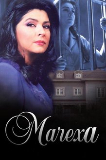 Мачеха: постер