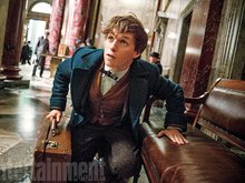 Эдди Редмэйн (фото: Entertainment Weekly, Jaap Buitendijk Эдди Редмэйн (фото: Entertainment Weekly, Jaap Buitendijk