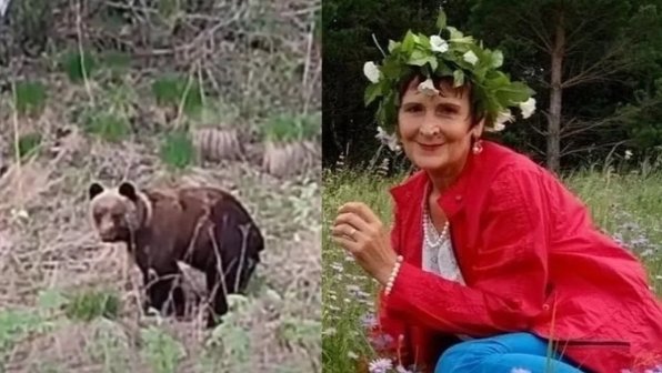 Сибирячка, снявшая свою встречу с медведем, рассказала о ней