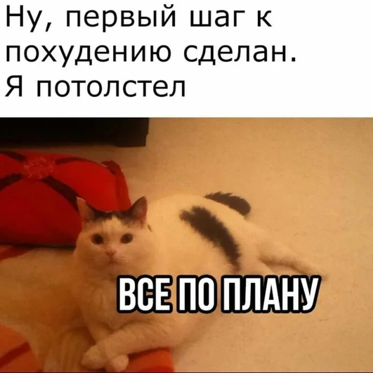 У нас есть тактика и мы ее придерживаемся У нас есть тактика и мы ее придерживаемся