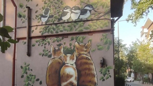 Милота дня: художник рисует муралы с котиками в Зеленоградске