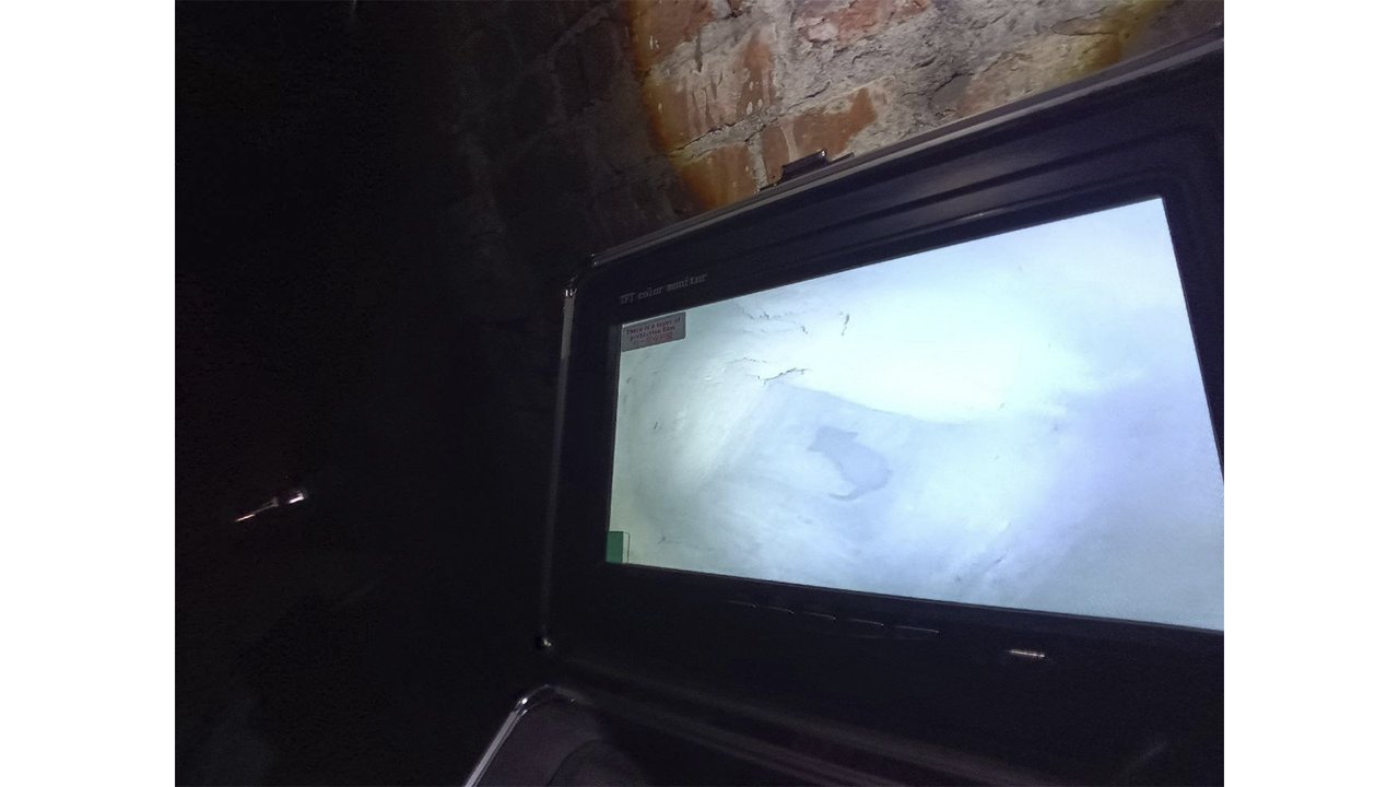 В Питере три дня спасали котенка — спасли и нашли малышу дом В Питере три дня спасали котенка — спасли и нашли малышу дом