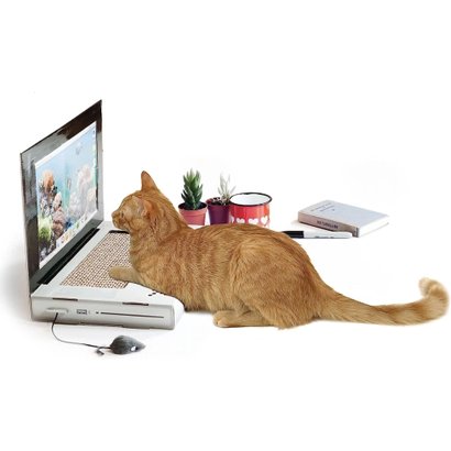 Ноутбук для кота: необычный гаджет произвел фурор в соцсетях