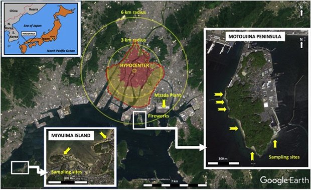 Эпицентр взрыва атомной бомбы в Хиросиме и области разрушения Изображение: sciencedirect.com