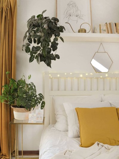 Не только на елку: 8 идей, как украсить дом светодиодной гирляндой