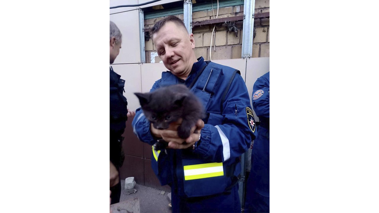 В Москве спасли котенка, который весь день звал на помощь В Москве спасли котенка, который весь день звал на помощь