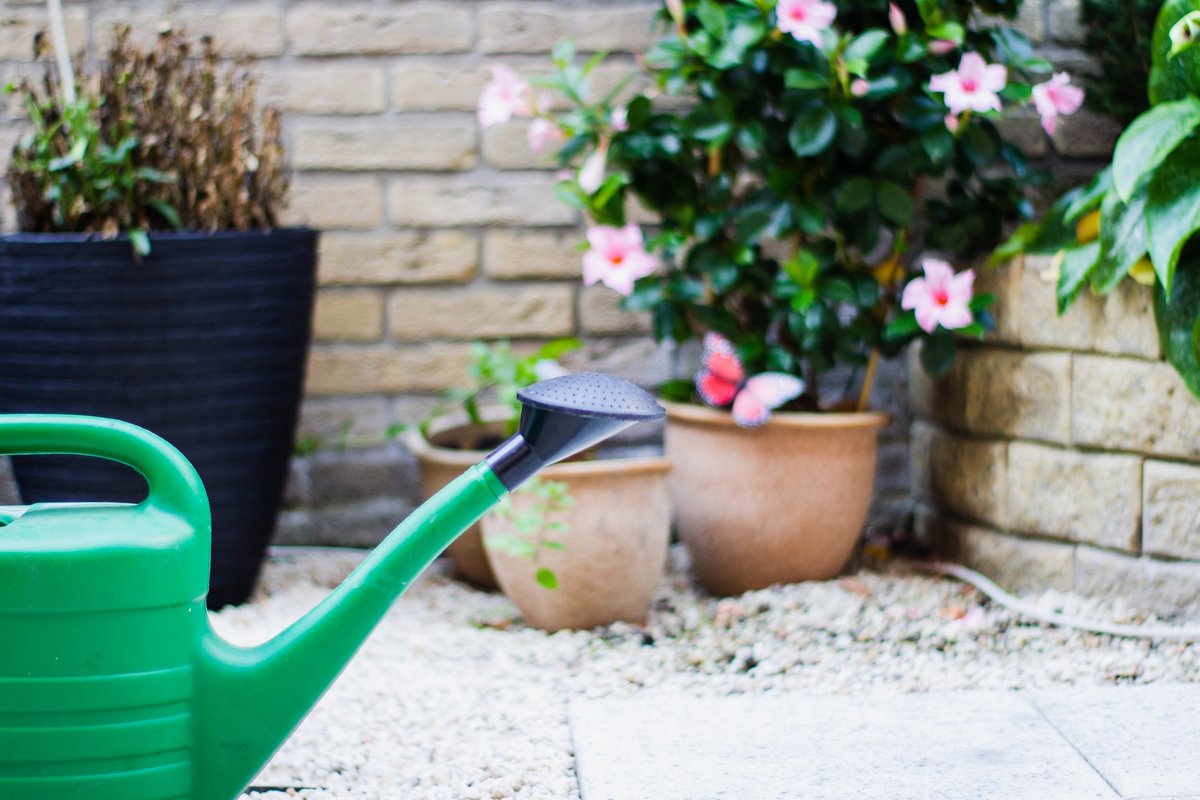 Работа лейка. Watering Pot.