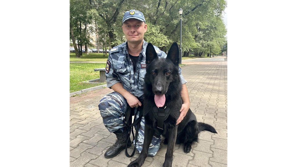 Петс Петс