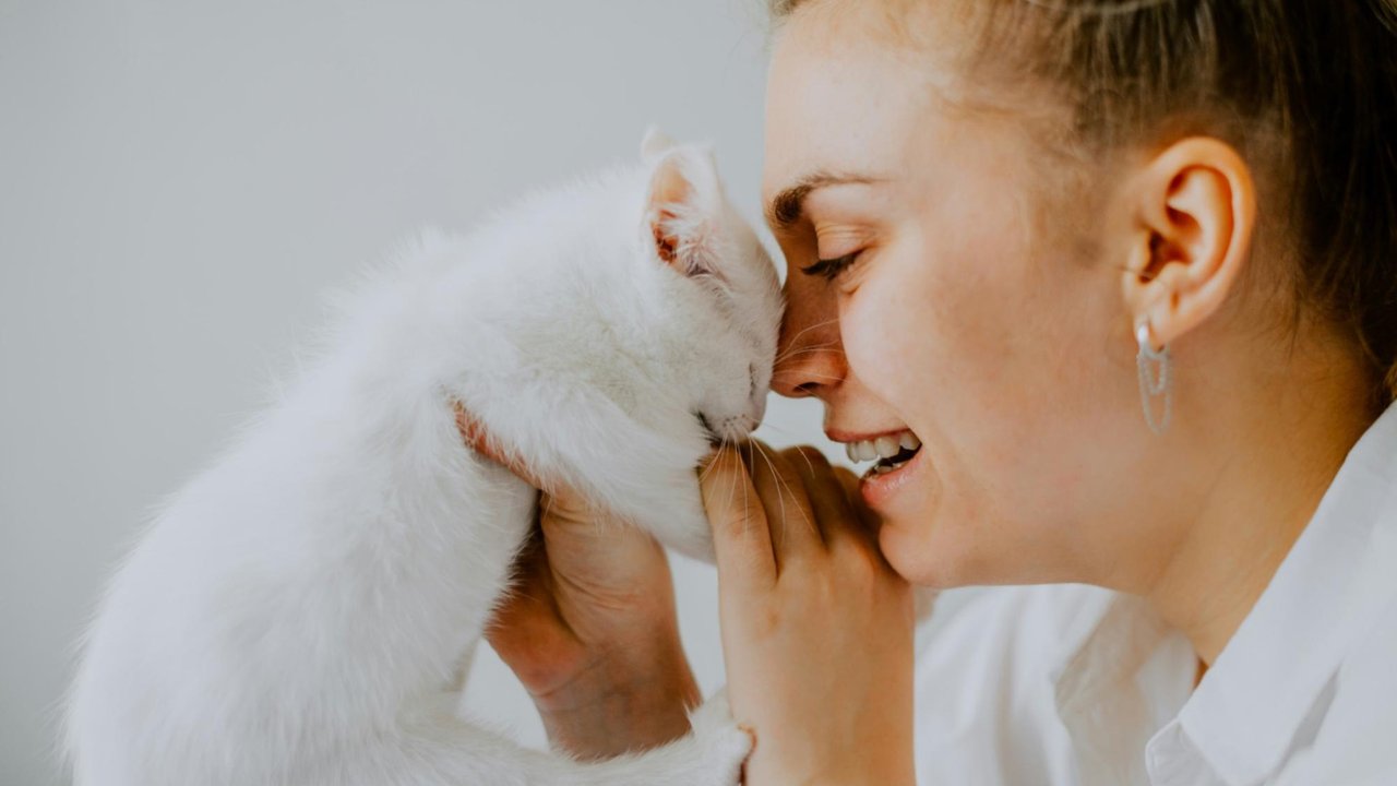 Котенок разговаривает с хозяйкой Котенок разговаривает с хозяйкой