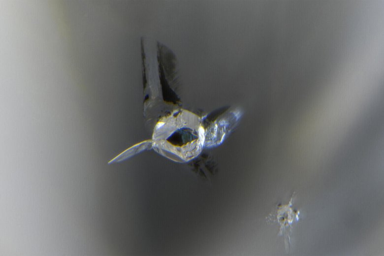 Алмаз под микроскопом / Фото: Nathan D. Renfro and Tingting Gu.