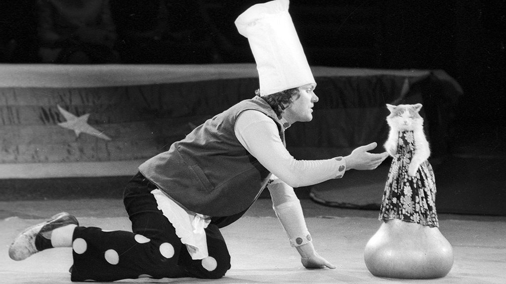 Юрий Куклачев с дрессированной кошкой на арене цирка, 1976 г. | Источник: РИА &quot;Новости&quot;