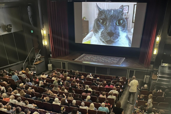 Cat Video Fest