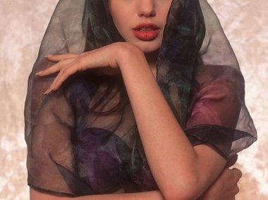 Slide image for gallery: 4848 | фото с палантином из органзы поклонники Джоли сочли одними из самых эффектных