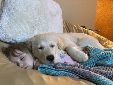 Любимое одеяло нашей дочки — это собака.
