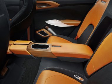 slide image for gallery: 25605 | Skoda Vision