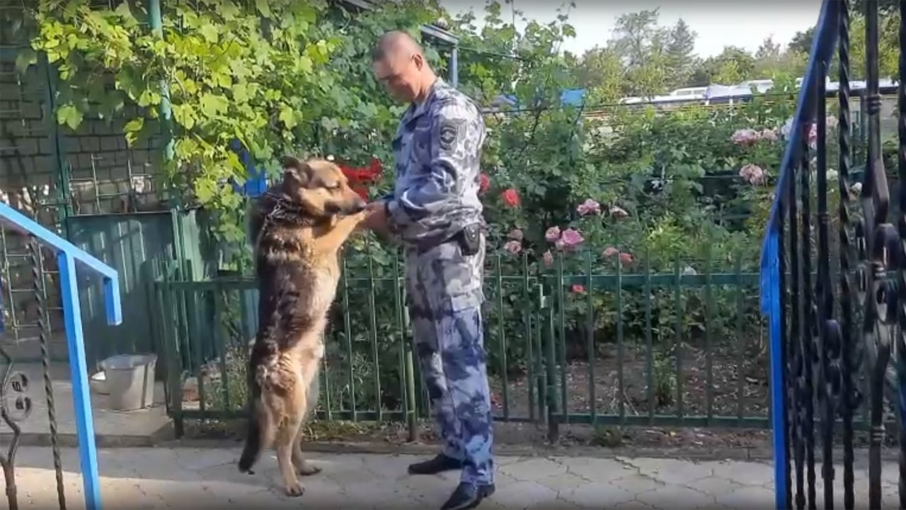 Полицейский и овчарка Полицейский и овчарка