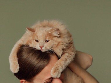 Slide image for gallery: 12926 | Екатерина любит животных и поддерживает фонд «Выше нос» (@bf_vishe_nos). Фото: пресс-служба
