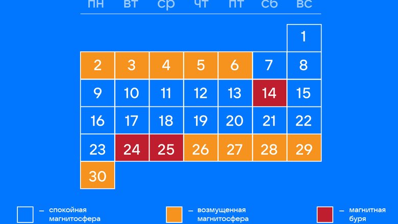 https://resizer.mail.ru/p/dba09637-e716-531c-a1e8-a21e881b808e/AQAGq_qykavyMBo0AbGKpuBEZbD0QjpuBJTiJZnEiP9vohqZ3MT_NiENMiPDkHn80_UNrQgWTh2UC6808NqmJOwhfWU.jpg