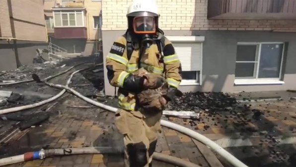 Под Ростовом на пожаре спасли собаку, шиншиллу, хомяка и четырех котов