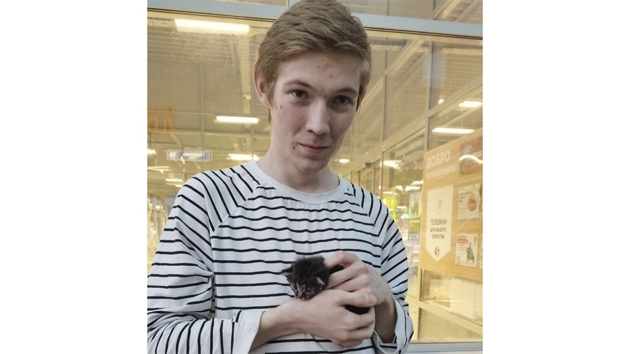Спасенный кот Спасенный кот