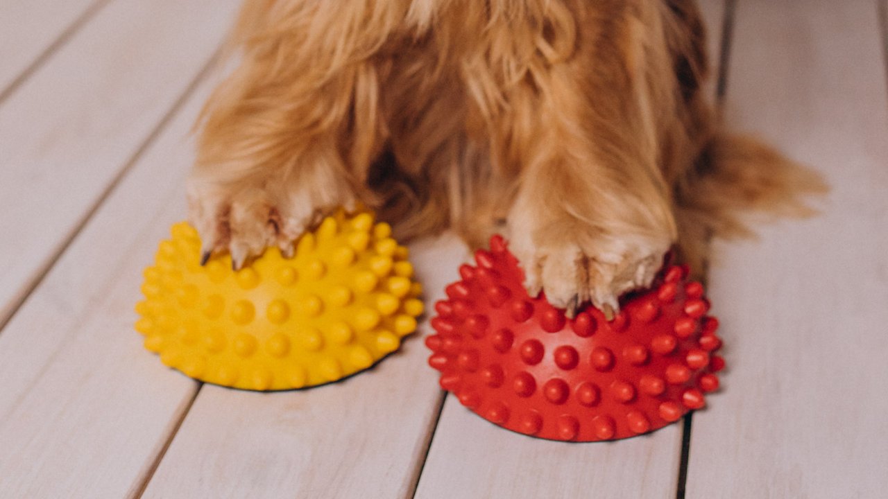 Резиновые игрушки для собак
