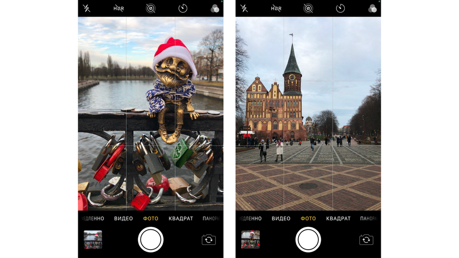 Скриншот камеры на iPhone, где видна сетка