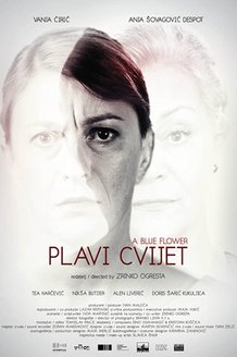 Синий цветок: постер