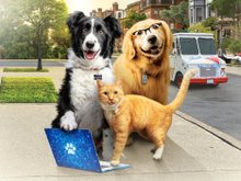 Кадр из Кошки против собак 3: Лапы, объединяйтесь