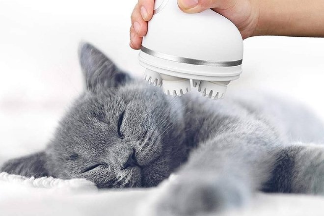 Smart Electric Pet Head Massager.