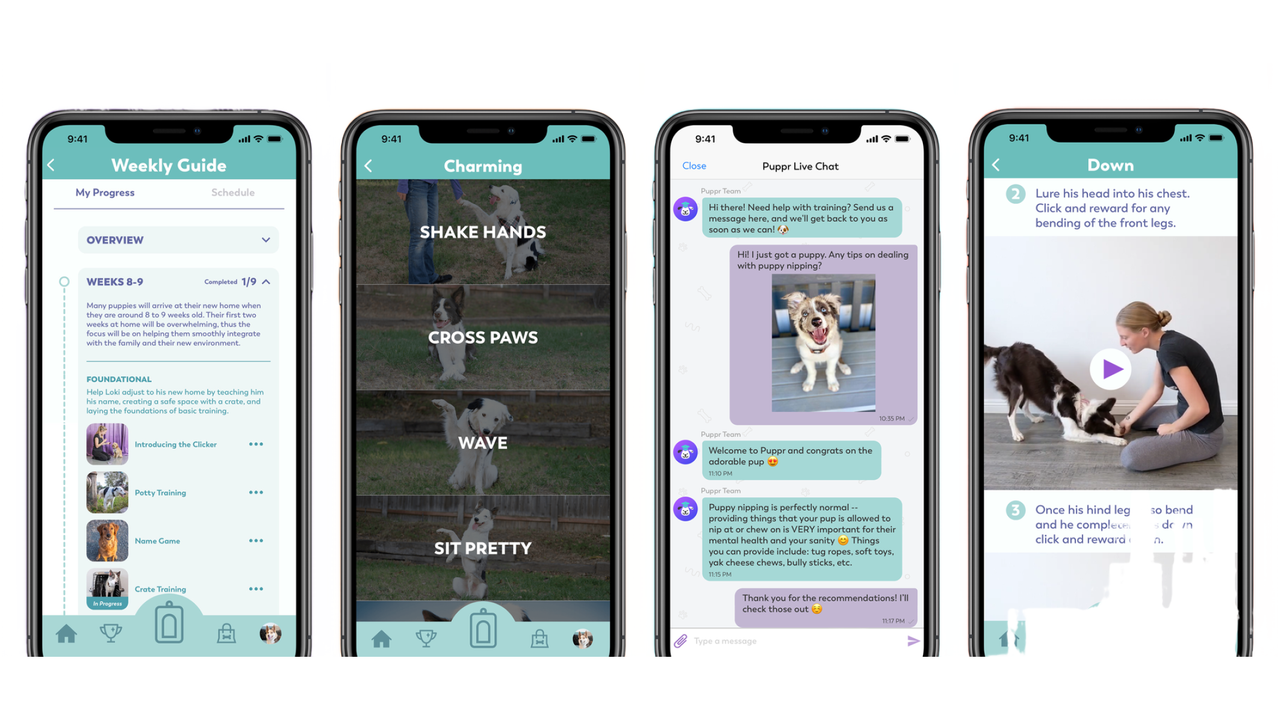 Макеты приложения Puppr для дрессировки собак