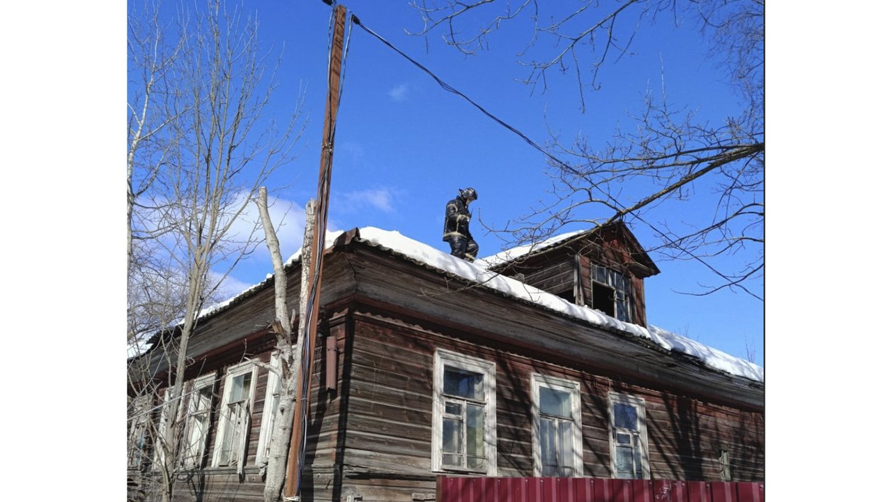 Собаки забрались на крышу дома и позвали на помощь