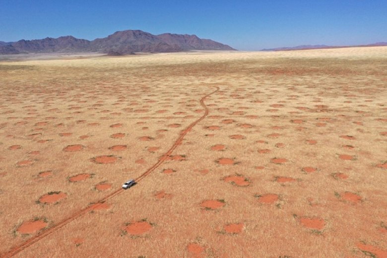 Загадочные круги в пустыне Намиб. Фото: Stephan Getzin / sciencealert.com